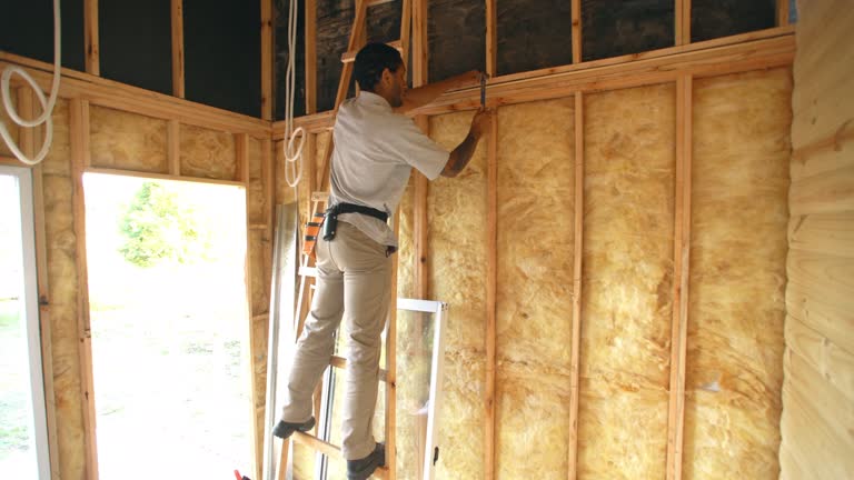 Best Attic Insulation Installation  in Mays Chapel, MD