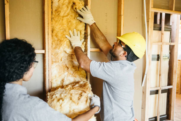 Best Eco-Friendly or Green Insulation Solutions  in Mays Chapel, MD