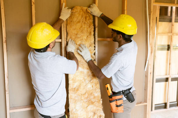 Best Attic Insulation Installation  in Mays Chapel, MD